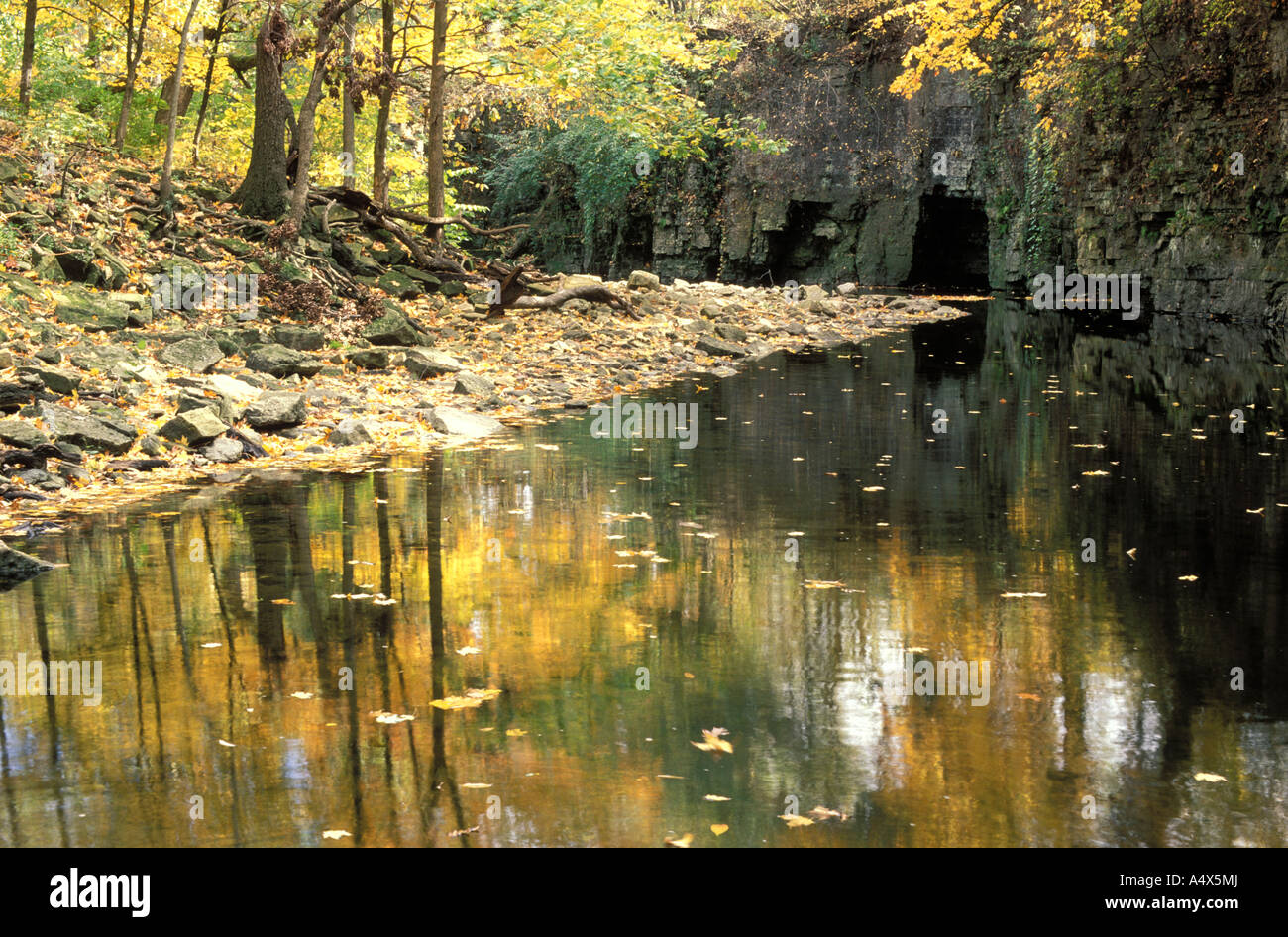 Rock Creek Canyon im Herbst in Kankakee River State Park (Illinois) Stockfoto