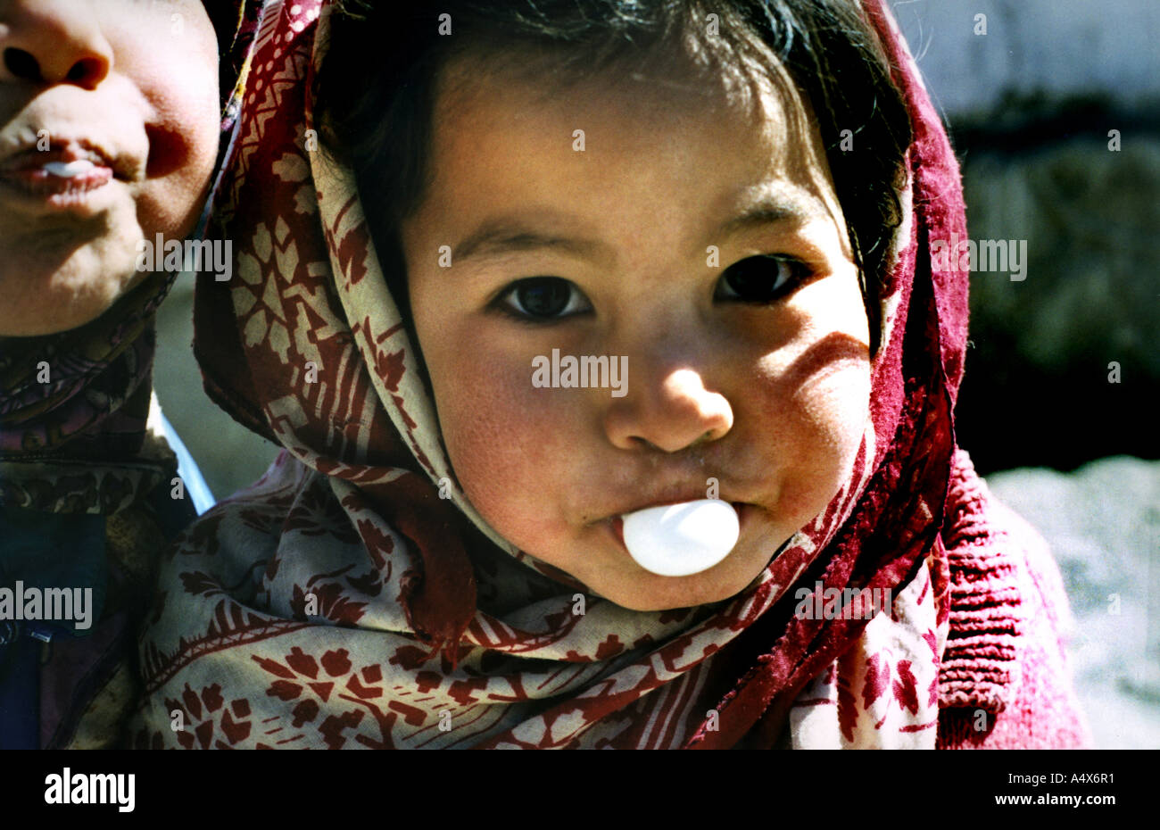 Junges Mädchen Leh Ladakh Jammu Kashmir Stockfoto
