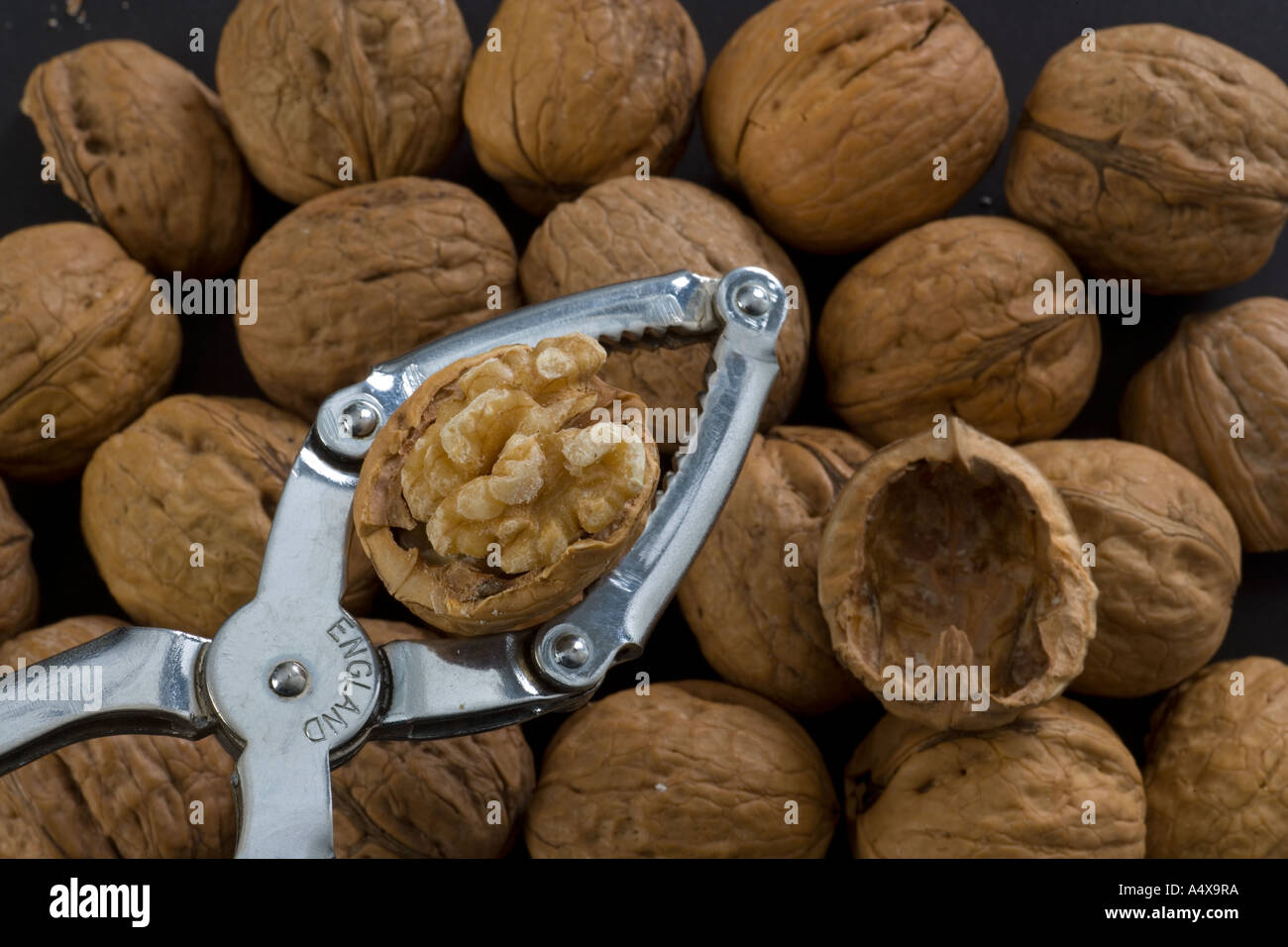 Reife Walnüsse, Juglans regia und Nusscracker Stockfoto