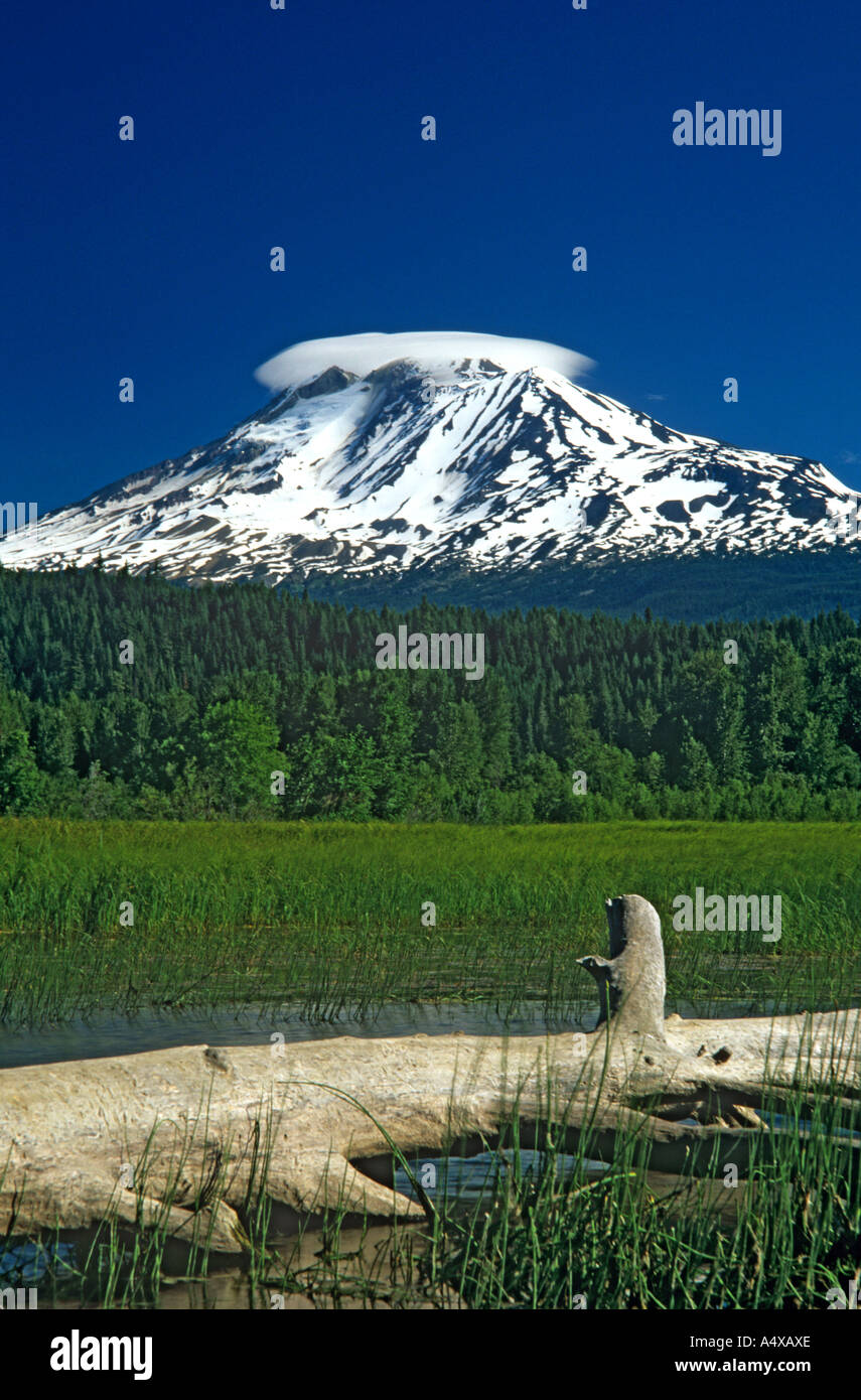 Mount Adams Stockfoto