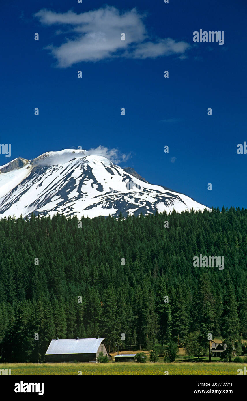 Mount Adams Stockfoto