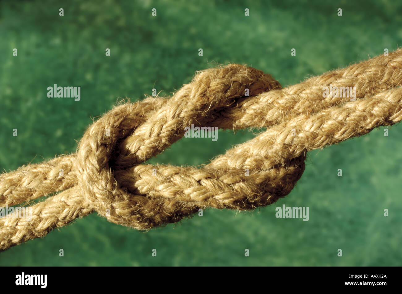 zwei Seile zusammengeknotet Stockfoto
