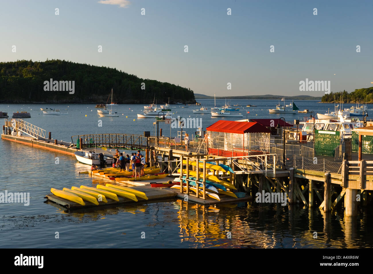 See-Kajaks auf dem kommunalen Pier in Bar Harbor, Maine USA Stockfoto