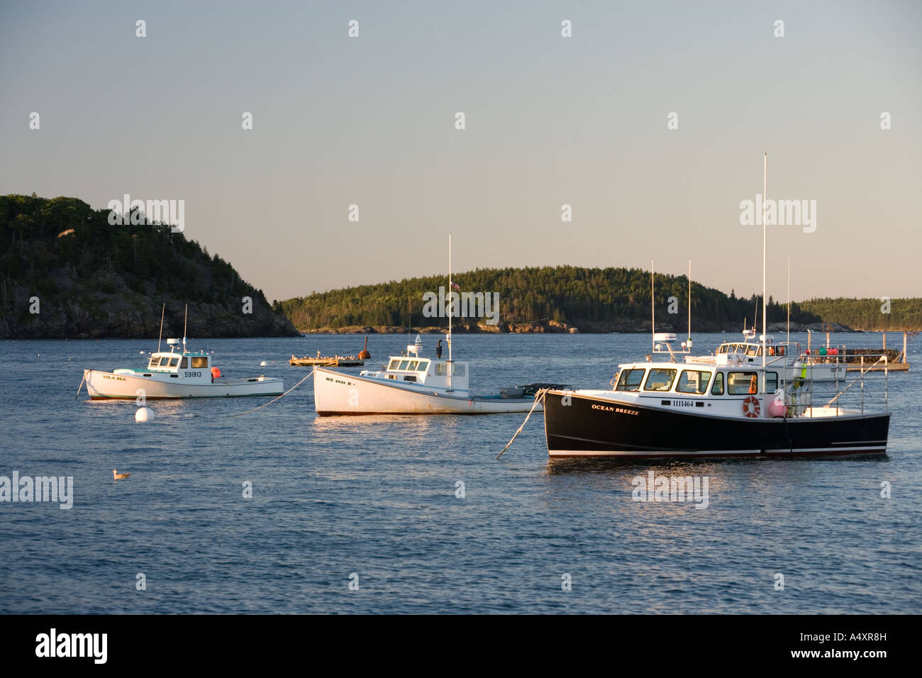 Angelboote/Fischerboote in Franzose Bay Bar Harbor Maine USA Stockfoto