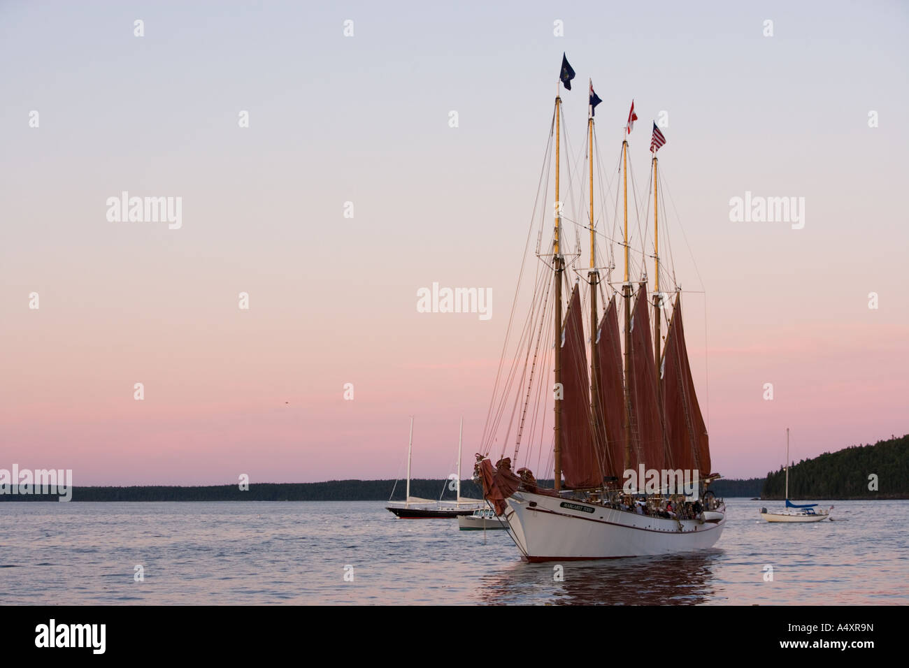 Der vier-Mast-Schoner Margaret Todd setzt die Segel Franzose Bay Bar Harbor Maine Mount Desert Island Sunset Stockfoto
