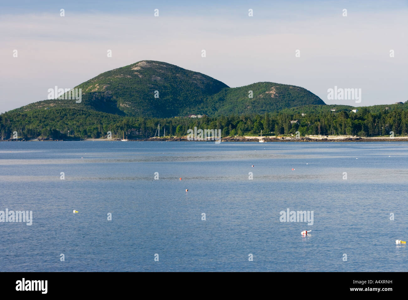Bar Harbor, Maine von Schafen Stachelschwein Island USA gesehen Stockfoto