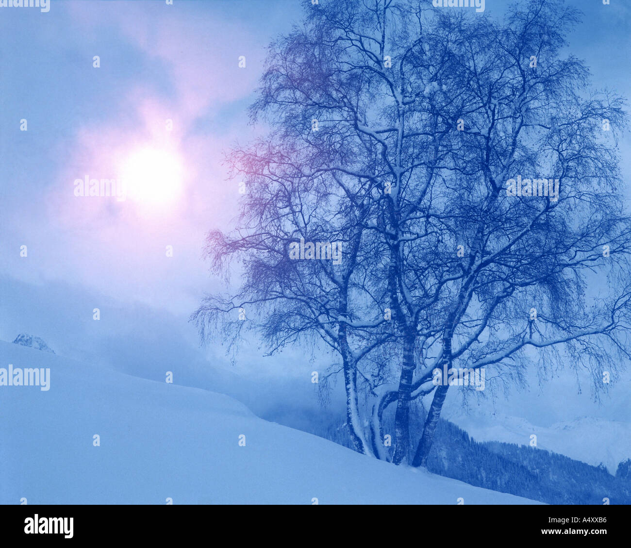 CH - Symbole: Winterscene in der Nähe von Tarasp im unteren Engadin Stockfoto