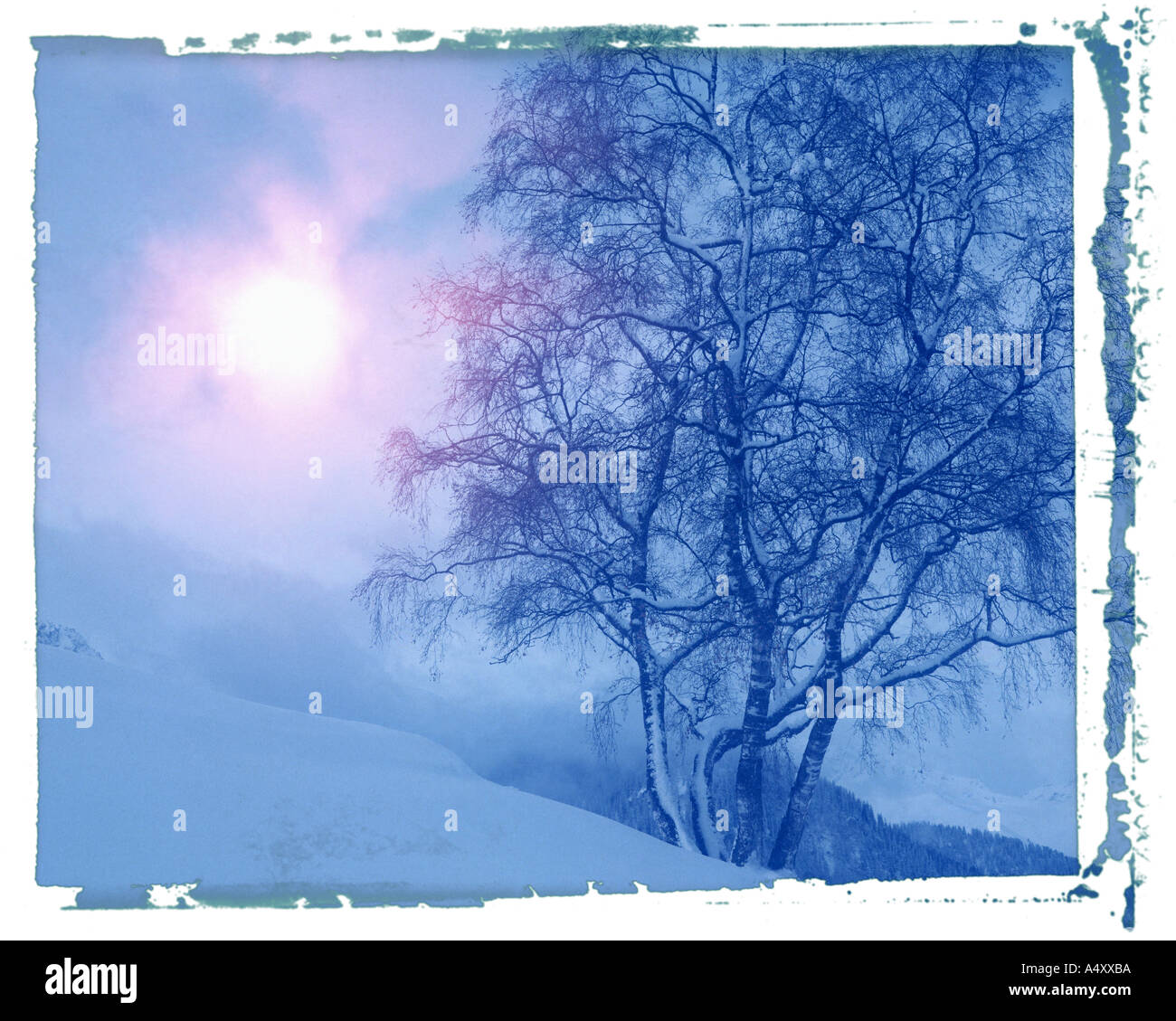 CH - GRAUBÜNDEN: Winterscene in der Nähe von Tarasp im unteren Engadin Stockfoto