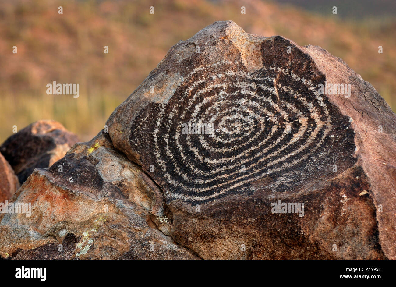 Hohokum Indian Rock Art Piktogramme am Signal Hill Gegend von Arizona Saguaro-Nationalpark Stockfoto