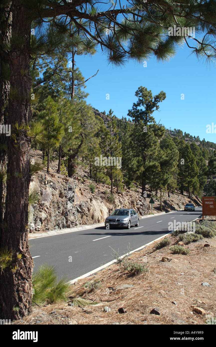 Durch die natürlichen Park von Corona Forstwirtschaft Land Autofahren an den Hängen des Teide Berg Teneriffa Kanaren Spanien Stockfoto