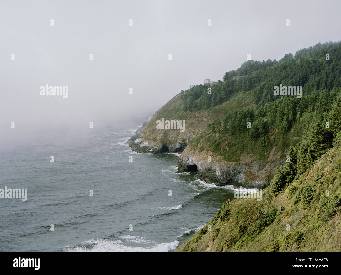 Sea Lion Caves entlang der Küste von Oregon Stockfoto