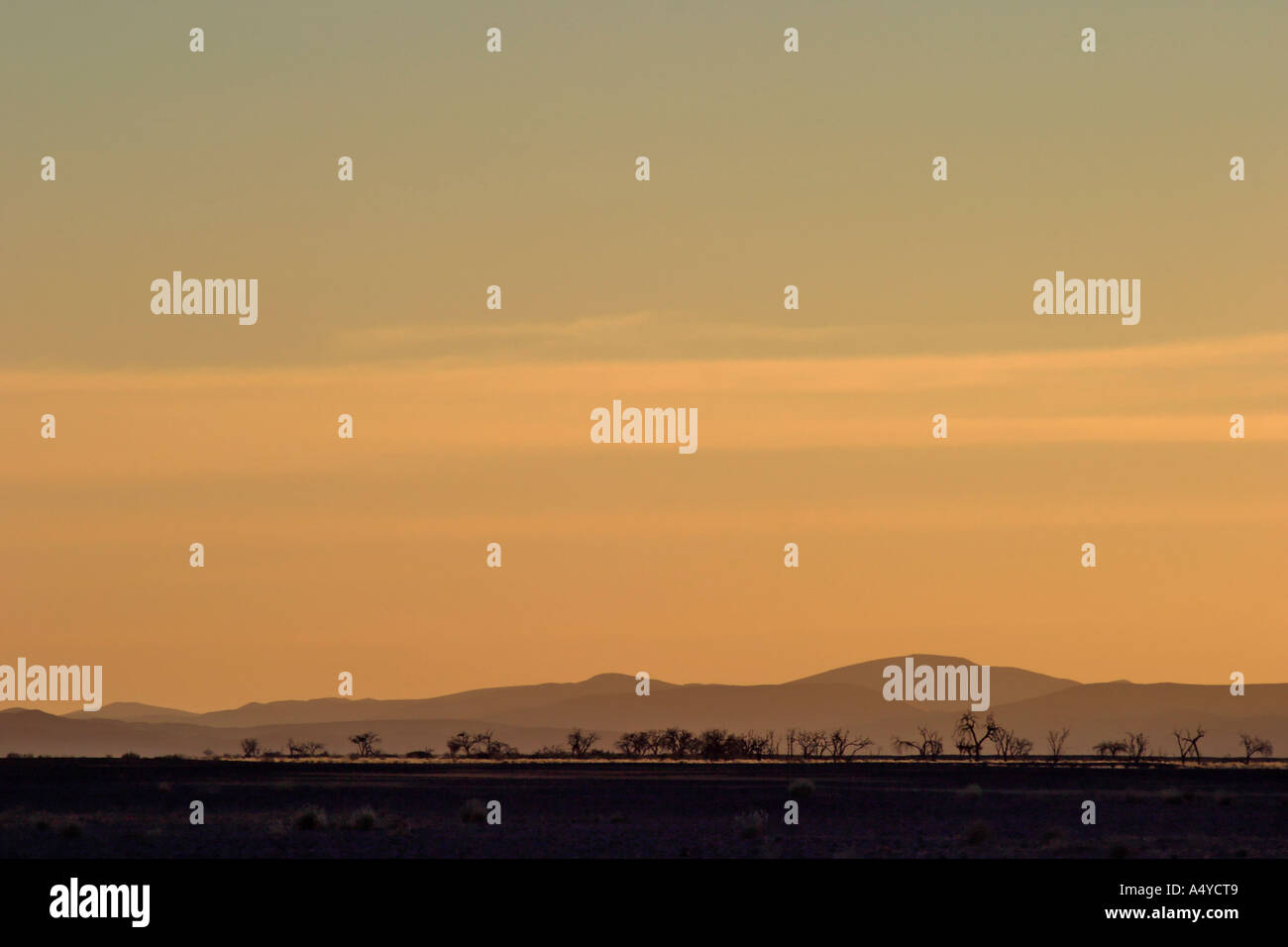 Farbigen Sonnenuntergang im Trockenfluss Tsauchab, Namib-Wüste, Namibia Stockfoto