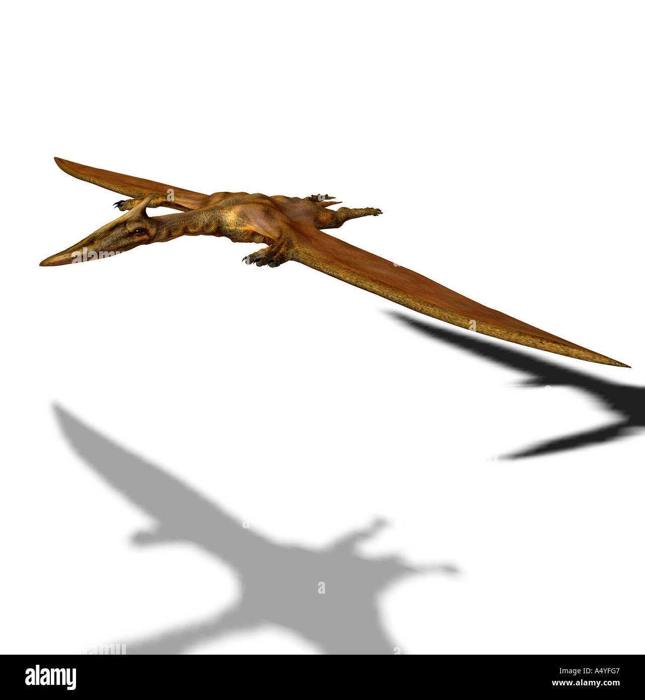 Der Quetzalcoatlus Northropi war ein Flug Dinosaurier mit ca. 12 m Spannweite und lebte in der Zeit der Kreidezeit. Die Stockfoto