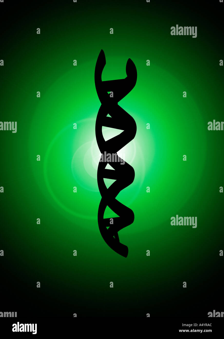 DNA-HELIX Alpha Doppelhelix DNS Stockfoto