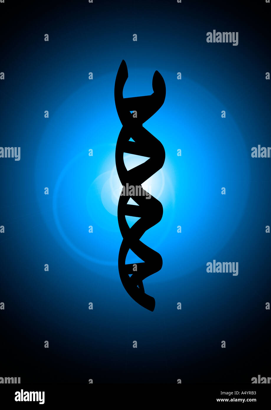 DNA-HELIX Alpha Doppelhelix DNS Stockfoto