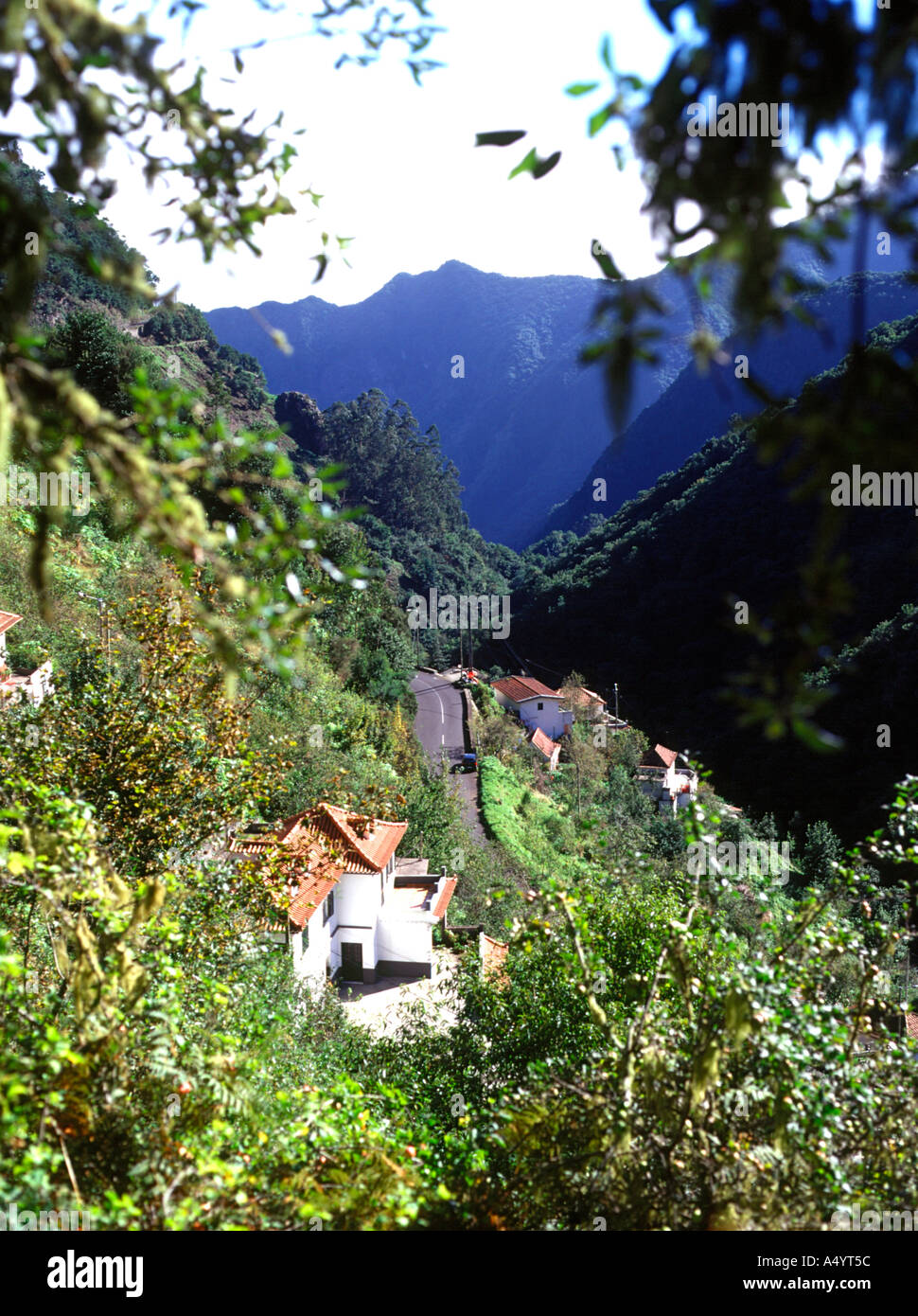 dh Frio River Valley Nationalpark-MADEIRA-Haus und Straße von Levada Furado Stockfoto