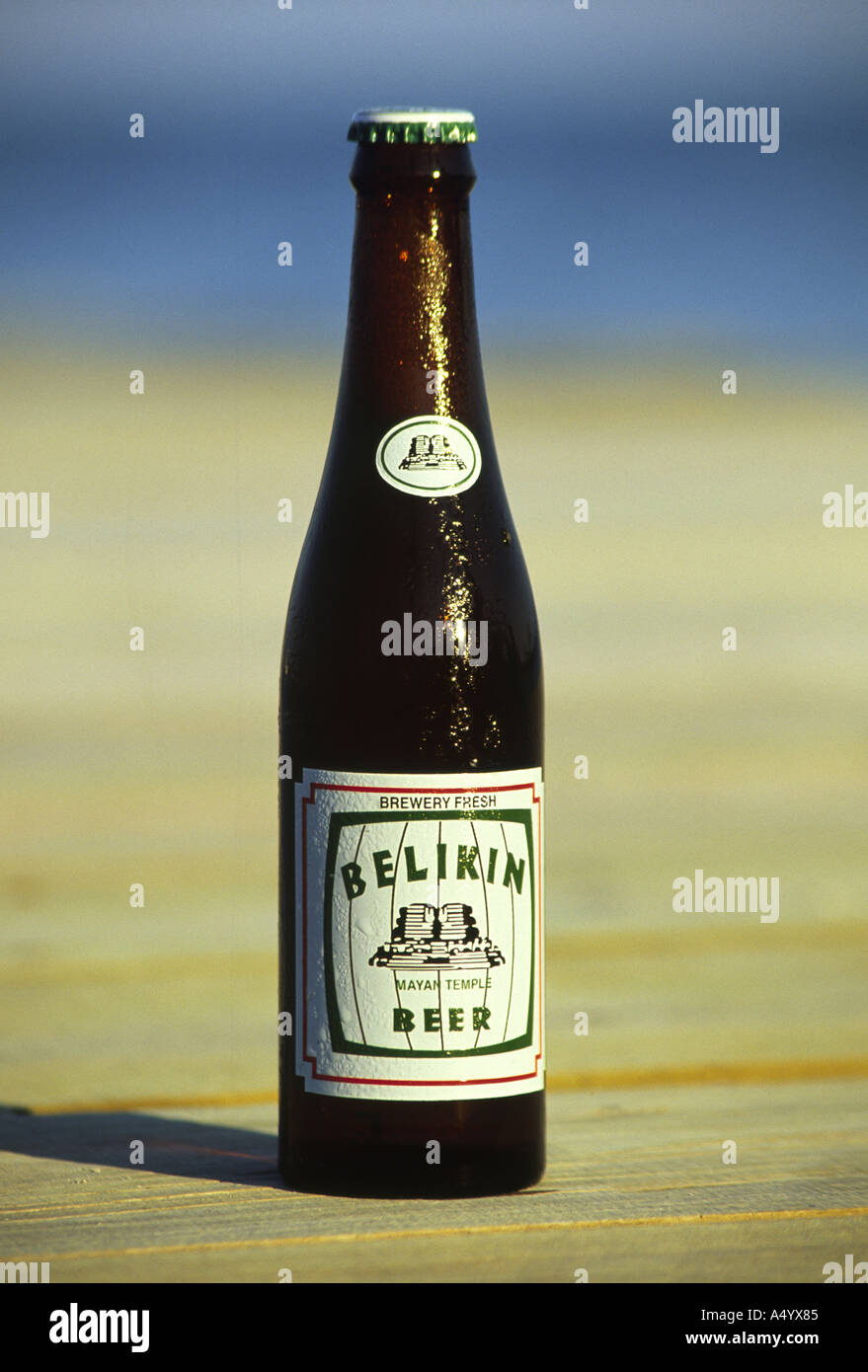 Belikan Bier Belize Stockfoto