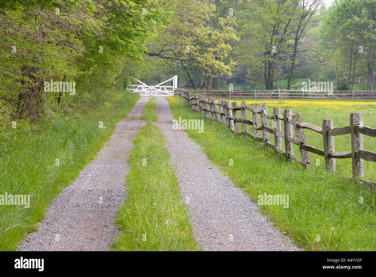 Ein Split Zaun und Farm Eisenbahn in Ipswich, Massachusetts USA Stockfoto