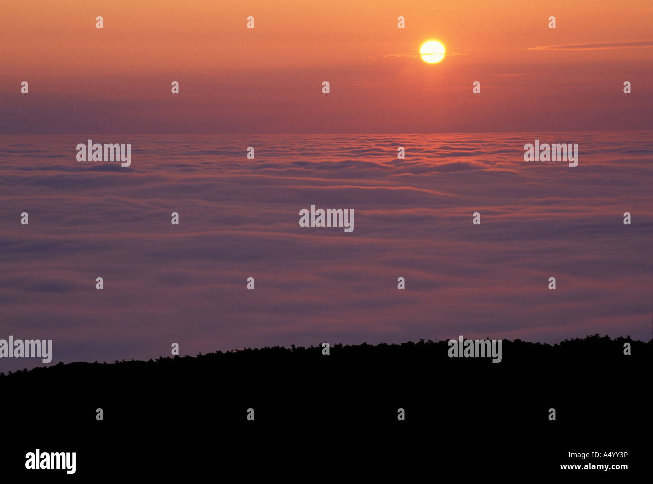Acadia N P mir die Sonne über einem Nebel eingehüllt Franzose Bucht vom Gipfel des Cadillac Mountain Stockfoto