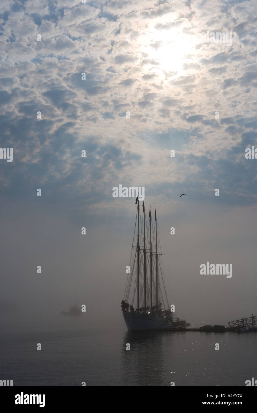 Nebel in Bar Harbor verdeckt die Sicht auf die Margaret Todd ein vier Mast-Schoner Morgen Maine Stockfoto