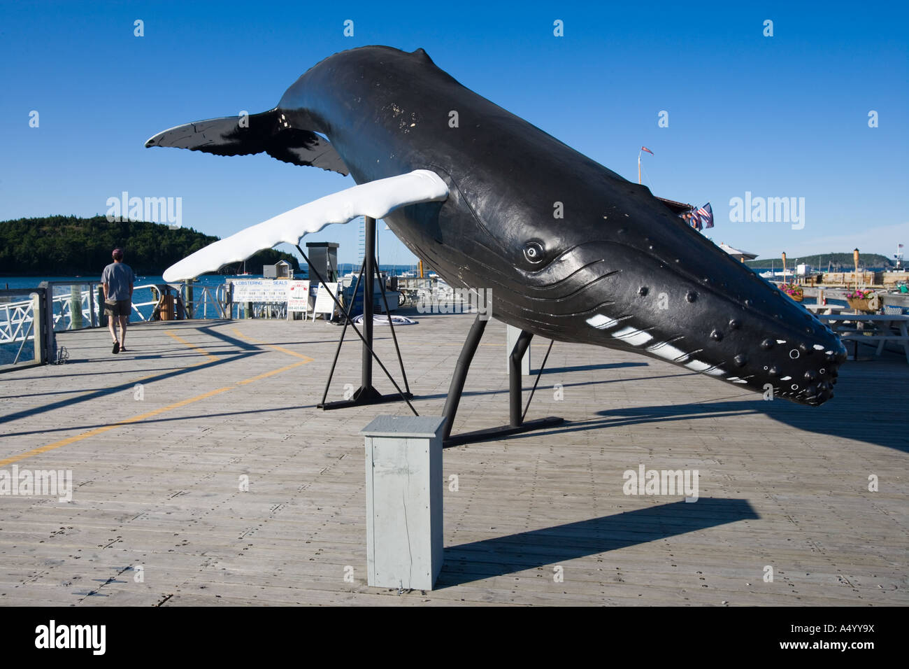Ein Buckelwal-Skulptur auf einem Dock in Bar Harbor, Maine USA Stockfoto