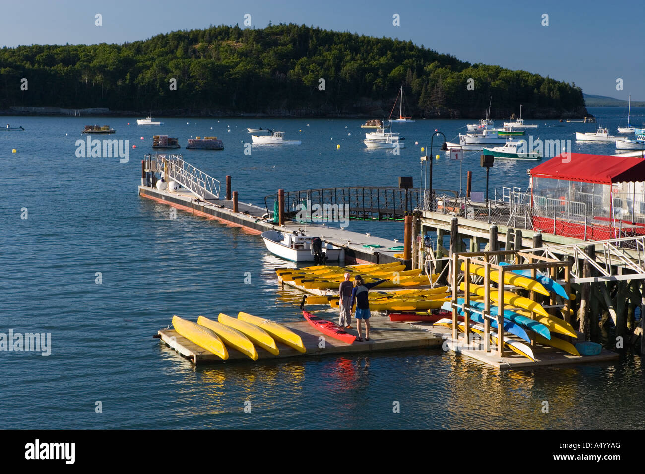 See-Kajaks auf dem kommunalen Pier in Bar Harbor, Maine USA Stockfoto