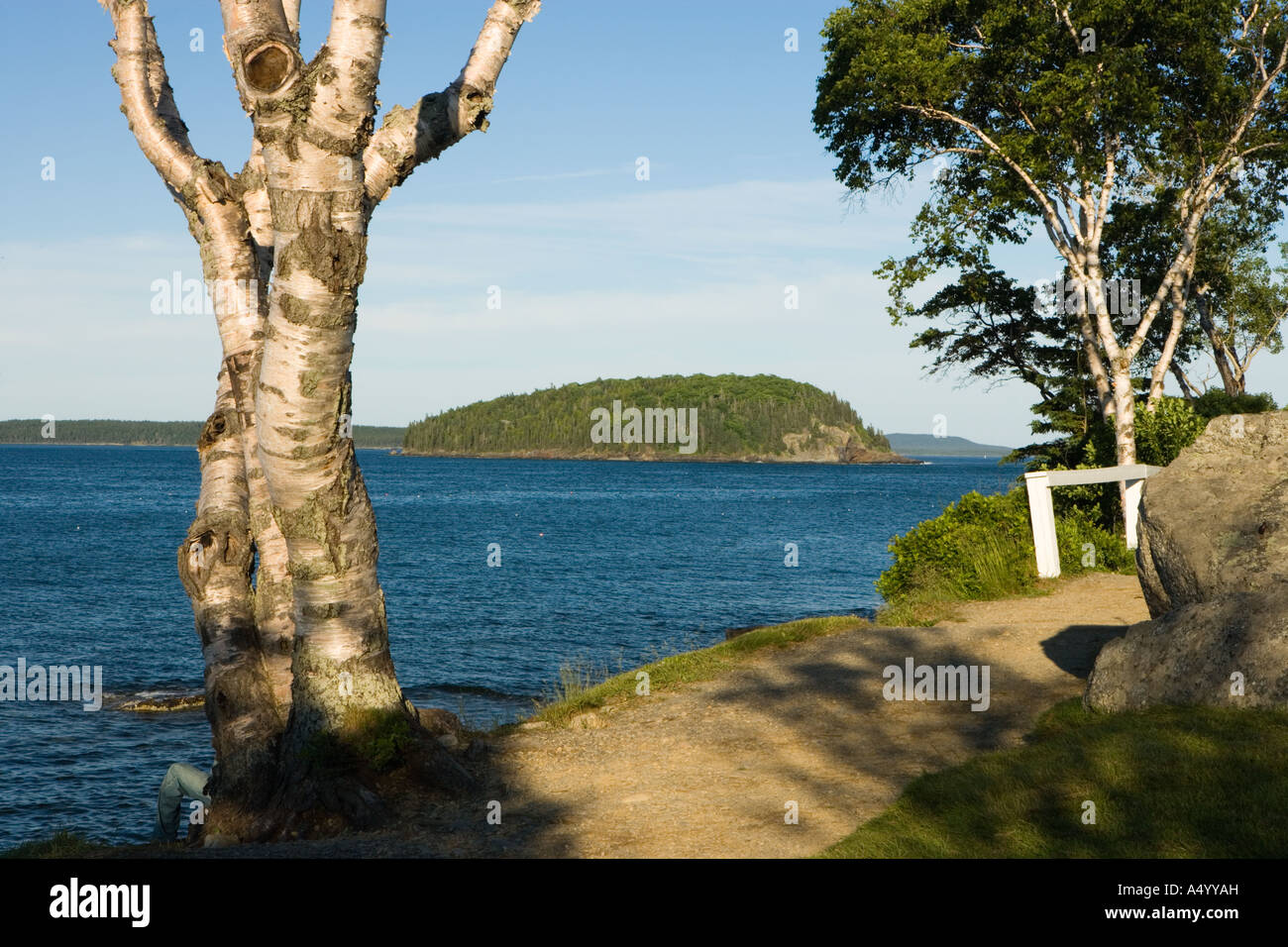 Franzose Bucht gesehen vom Ufer Weg in Bar Harbor, Maine USA Stockfoto