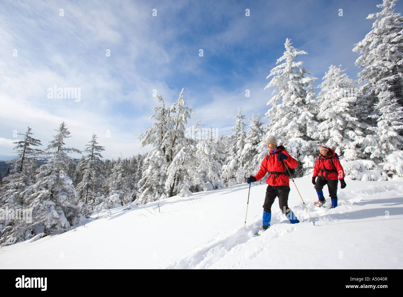 Winterwandern auf Mount Cardigan in New Hampshire Clark Trail Kanaan NH Stockfoto