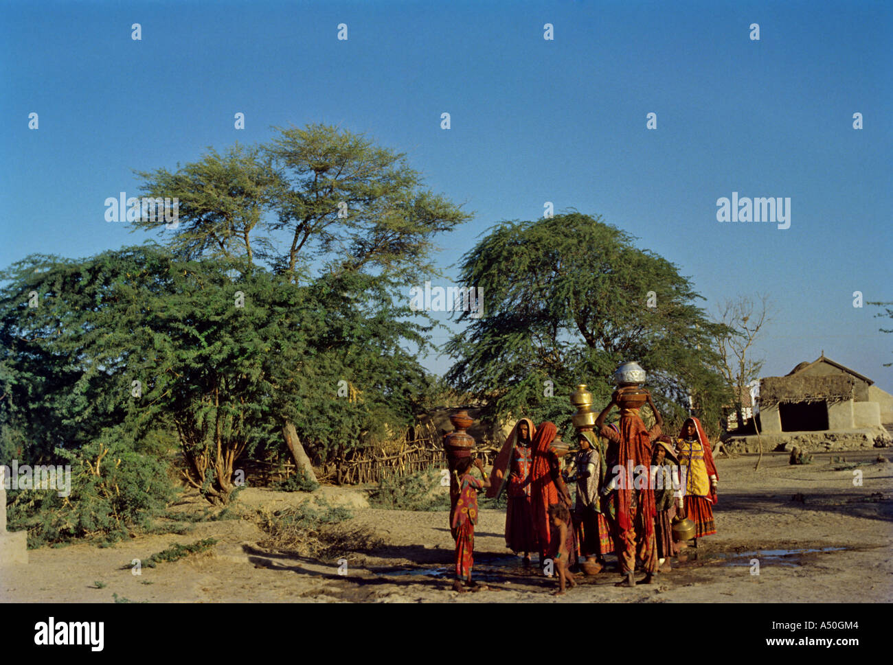 Frauen Wasserholen in Gujarat Indien Stockfoto