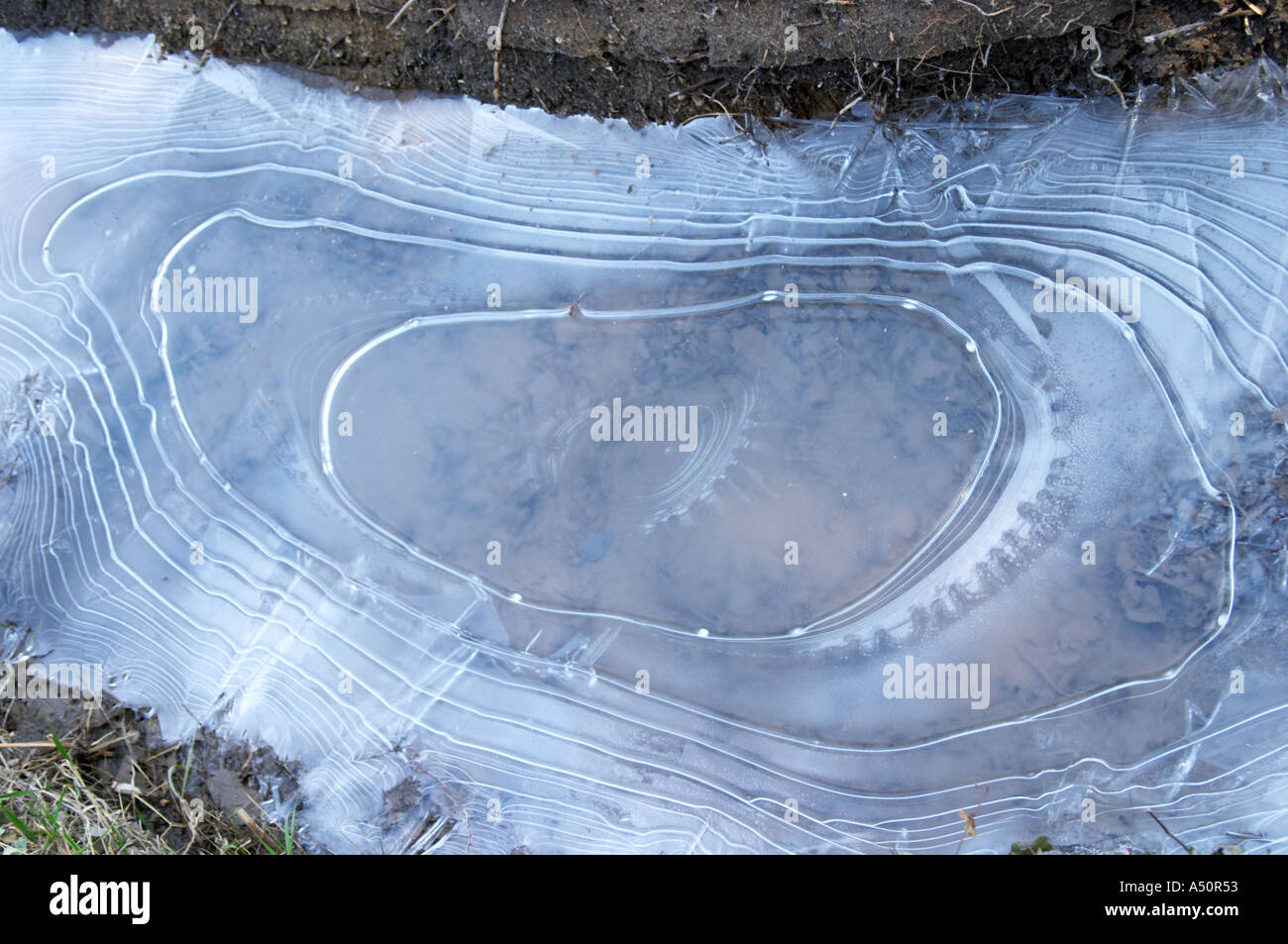 Eis auf dem Wasser in einen Graben im Olivenöl Mühle Moulin du Calanquet de Saint St Remy de Provence, Bouche-du-Rhône, Frankreich Stockfoto