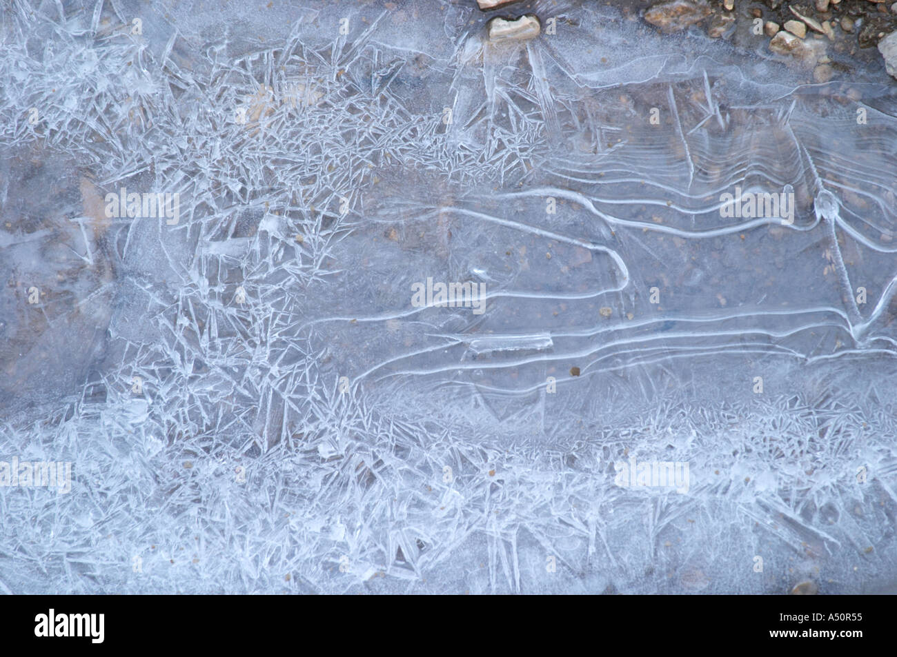 Eis auf dem Wasser in einen Graben im Olivenöl Mühle Moulin du Calanquet de Saint St Remy de Provence, Bouche-du-Rhône, Frankreich Stockfoto