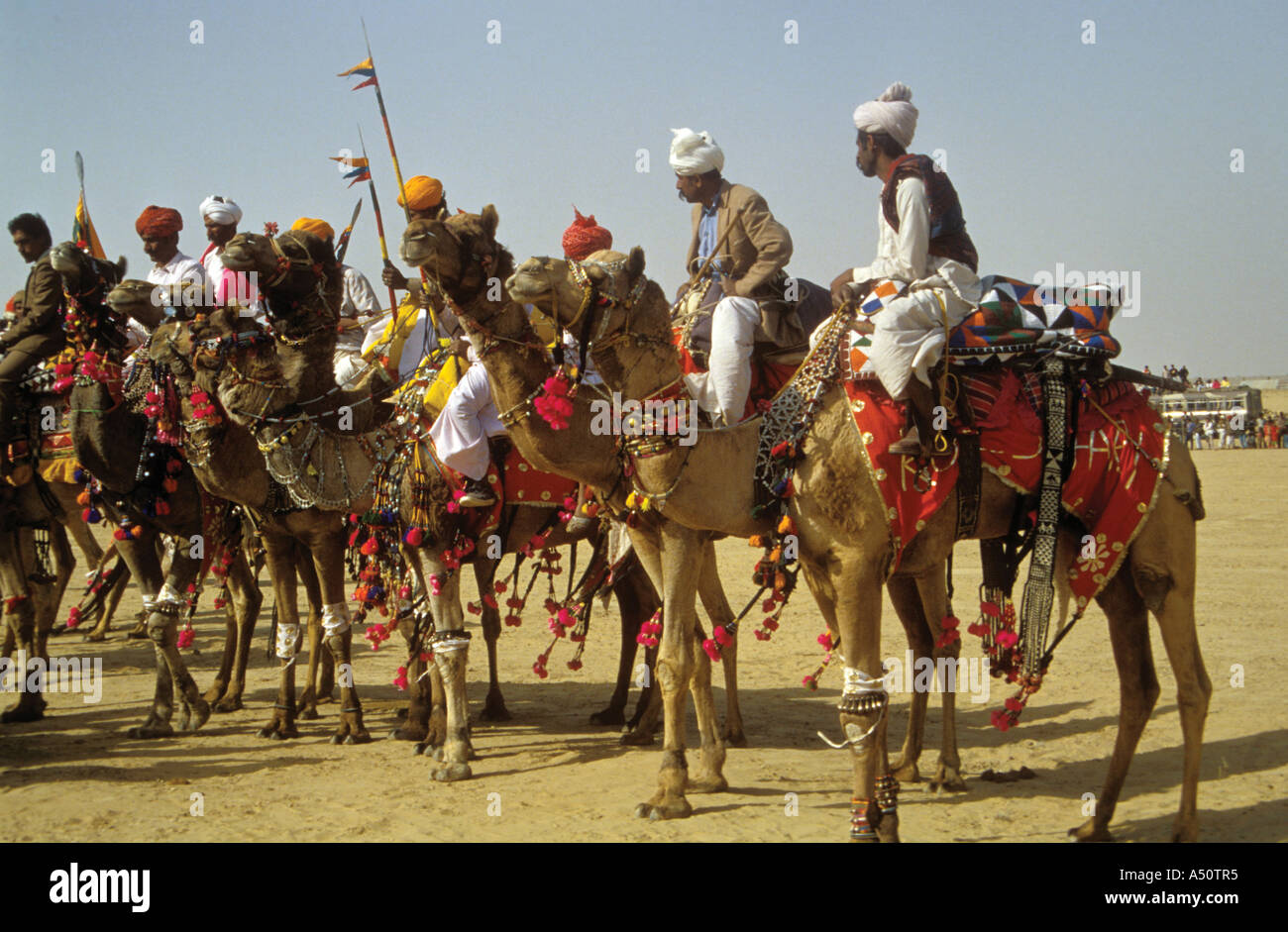 Wüste Festival Rajasthan Indien Stockfoto