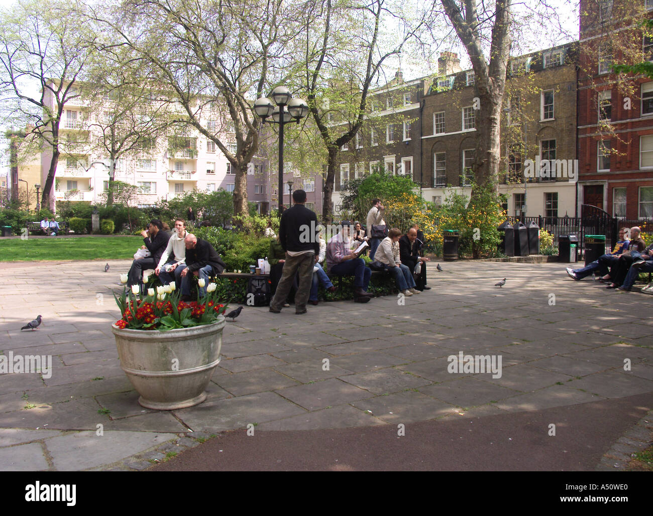 Red Lion Square in London Stockfoto