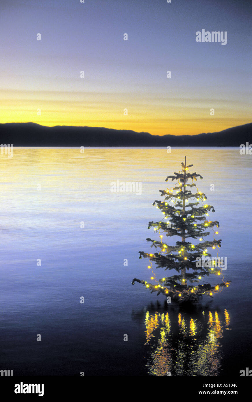 Geschmückter Weihnachtsbaum in ruhigem Wasser mit Lichtern Lake Tahoe, Kalifornien USA Stockfoto