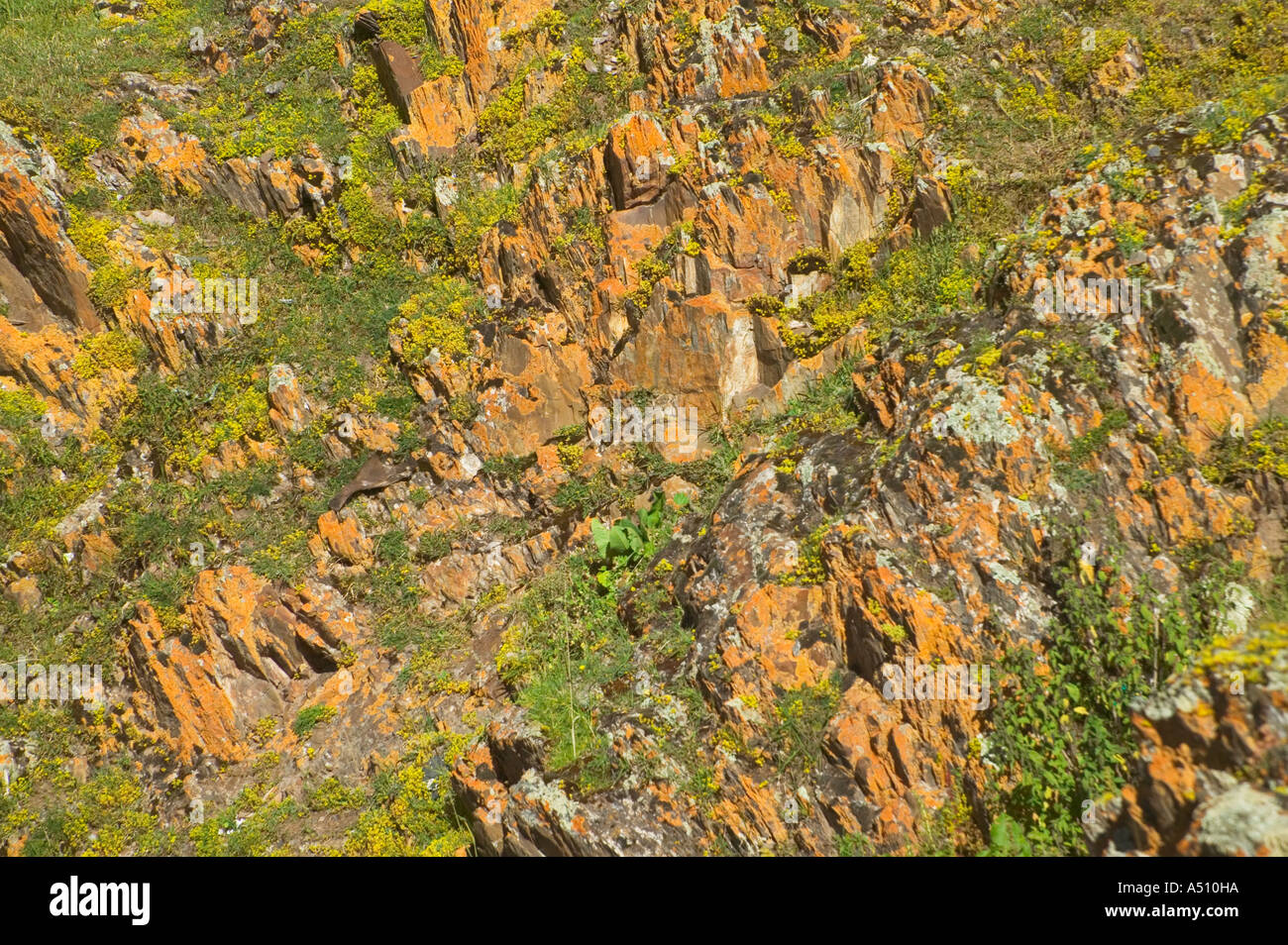 Fels Textur entlang der Salween River in Ost-Himalaya-Tibet-China Stockfoto