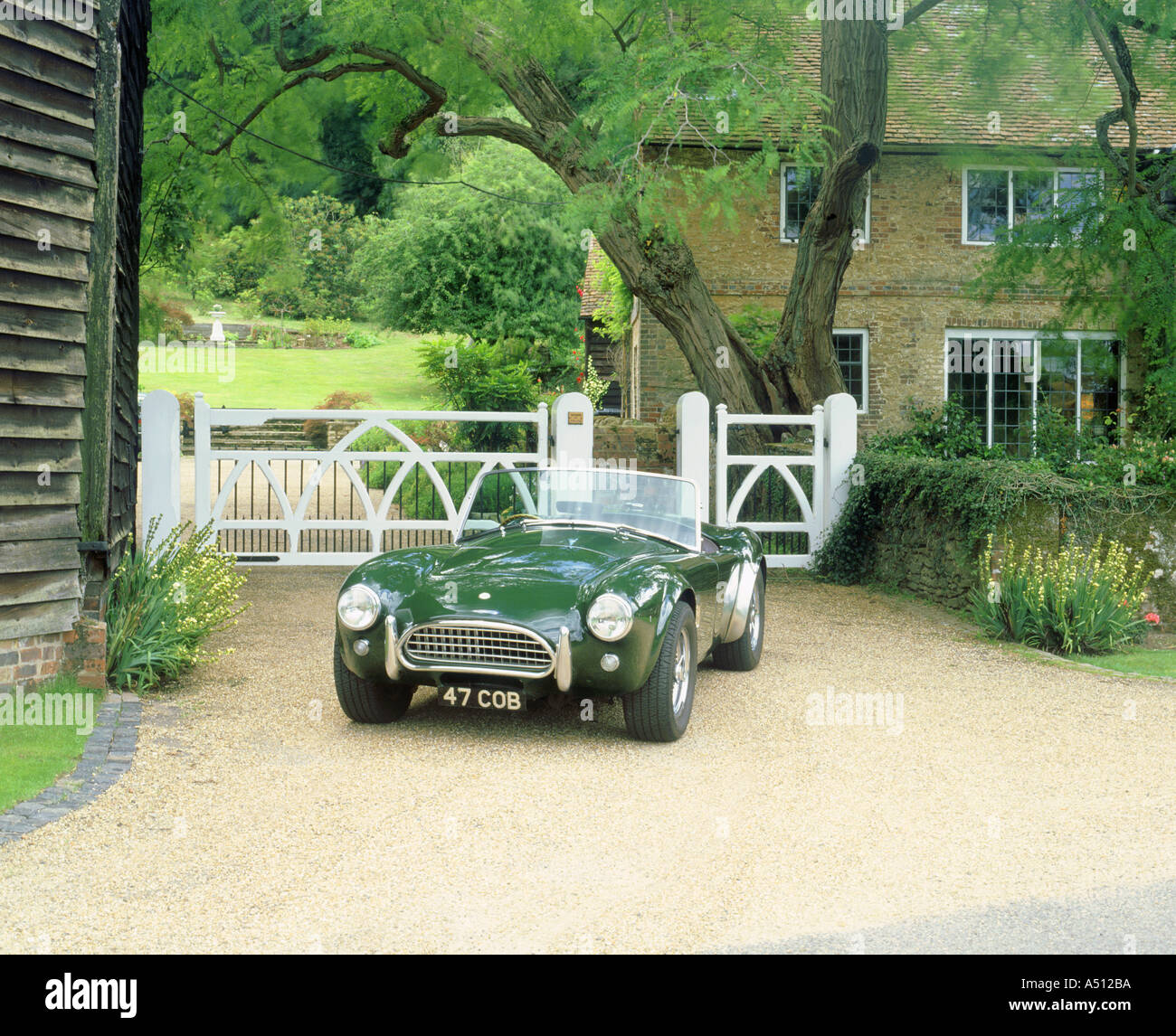 1964-AC Cobra Stockfoto