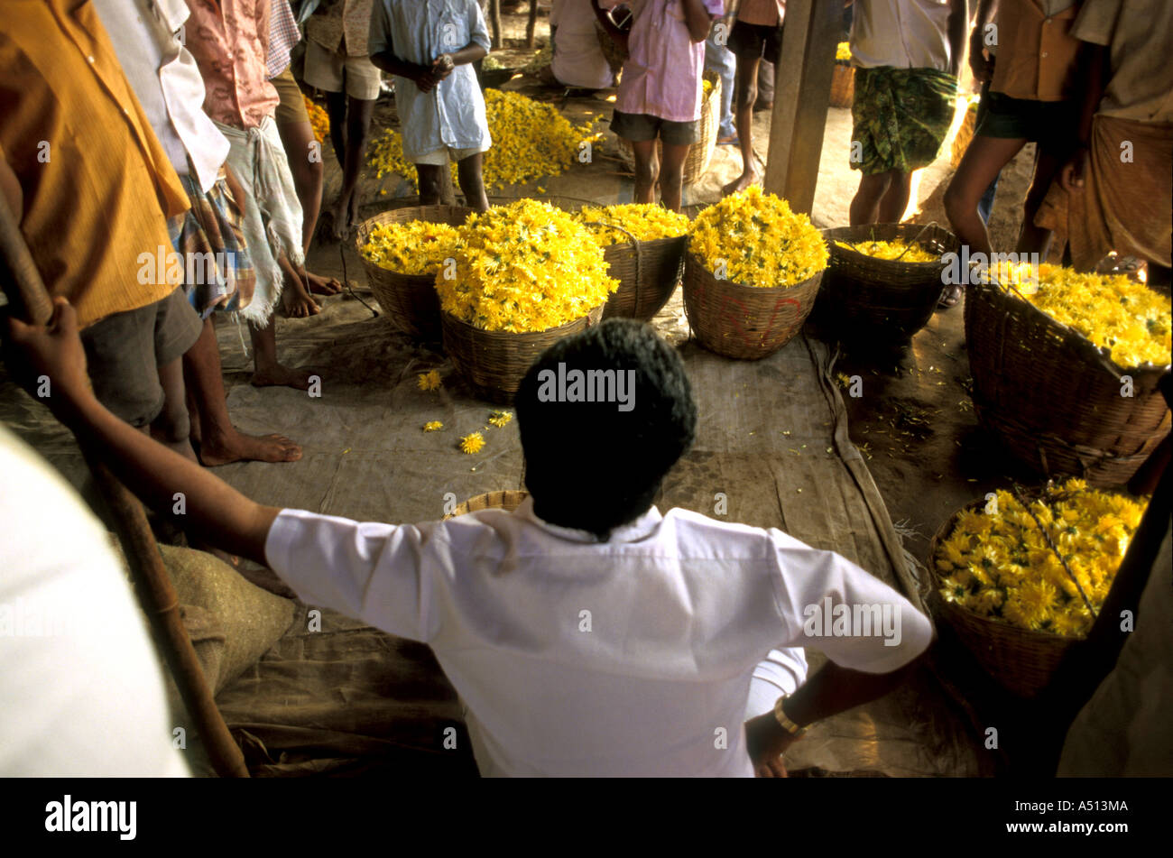 Blume-Mandi Rajmundri Distt Andhra Pradesh, Indien Stockfoto