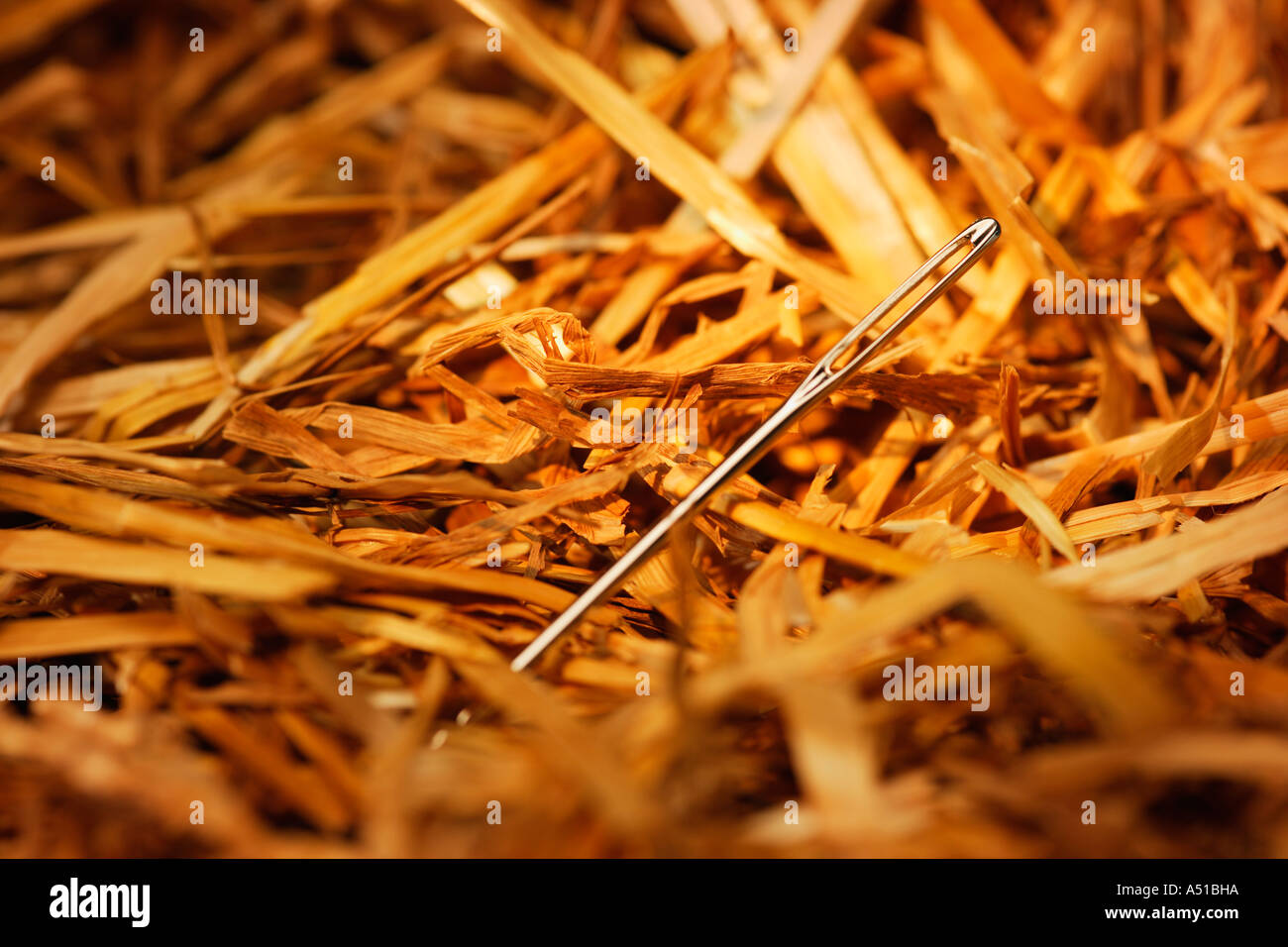 Nadel in einem Heuhaufen Stockfoto