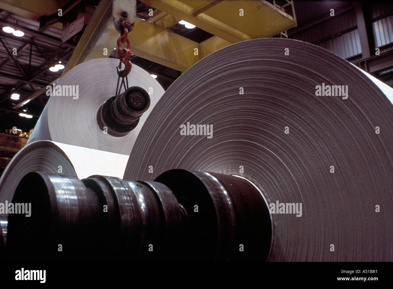 Papierrollen in Papierfabrik Stockfoto