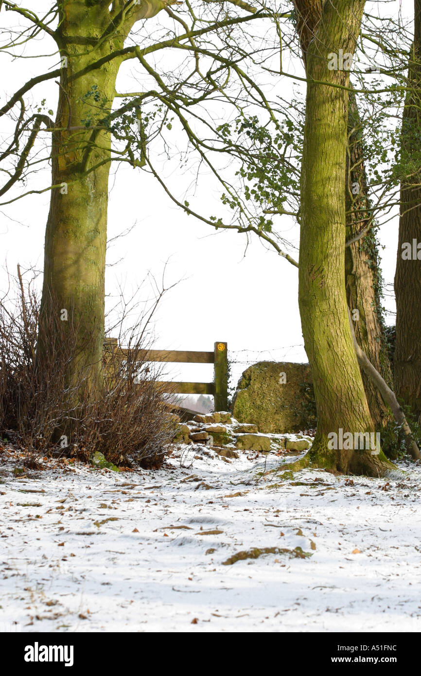 Winter Buche Baum Holz und Fussweg Stil Tor Somerset England Stockfoto