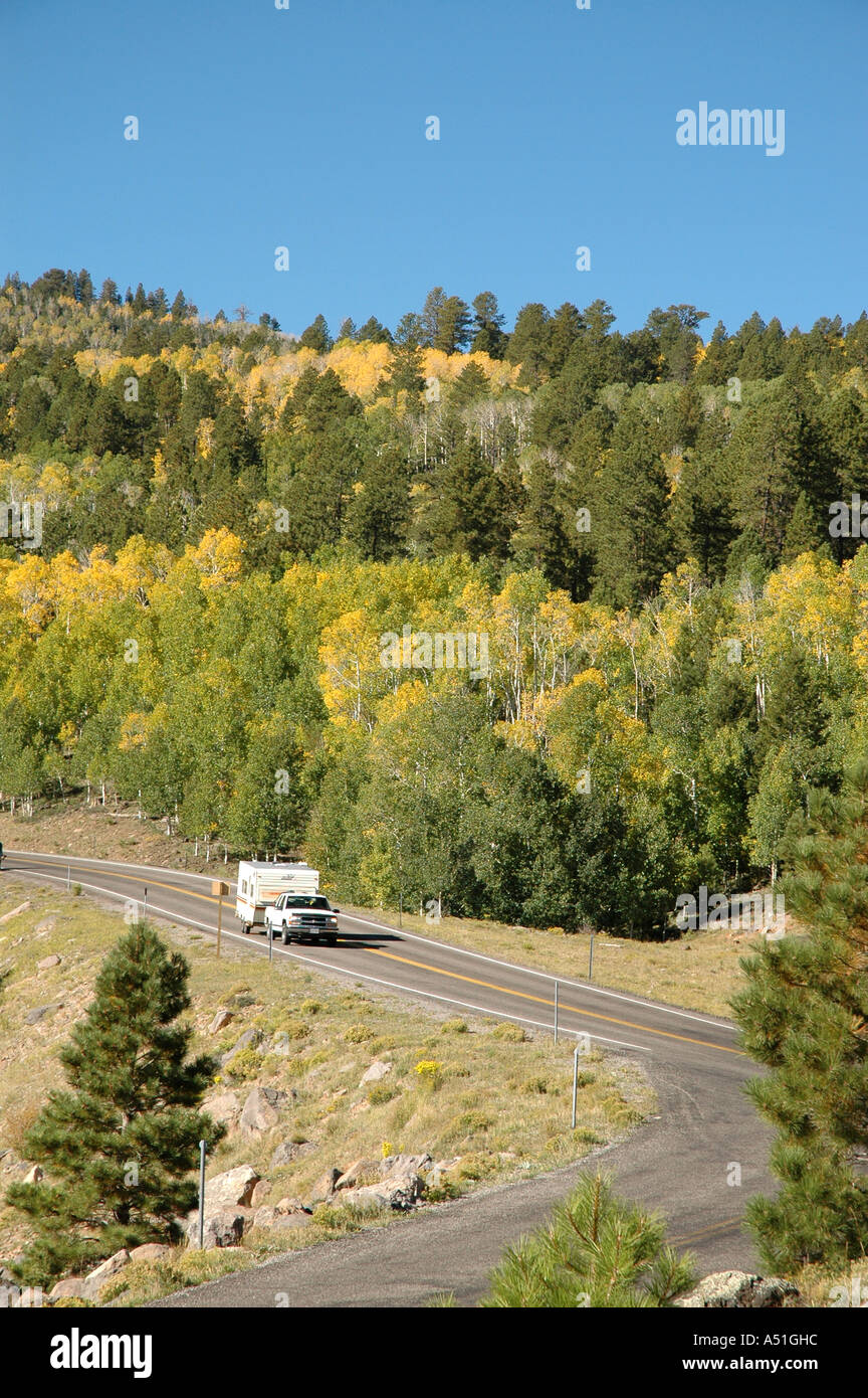 Utah Herbst verfärben gelbe Blätter camping Anhänger RV kurvenreiche Straße in Waldwildnis Stockfoto
