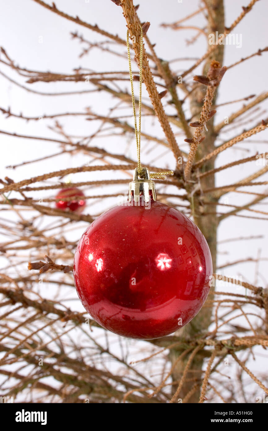 Alten Weihnachtsbaum mit keine Nadeln drauf Stockfotografie Alamy