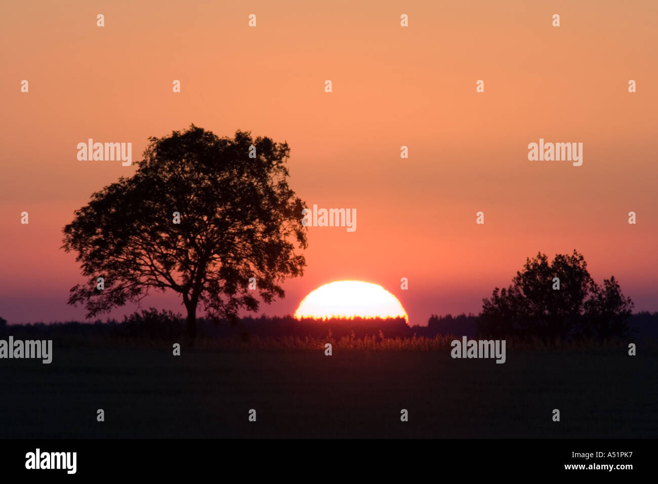 Sonnenuntergang an der Suffolk, UK Stockfoto