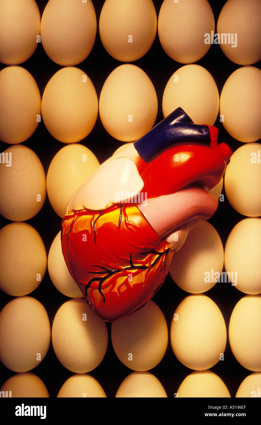 Modell-Herz mit Eiern Stockfoto