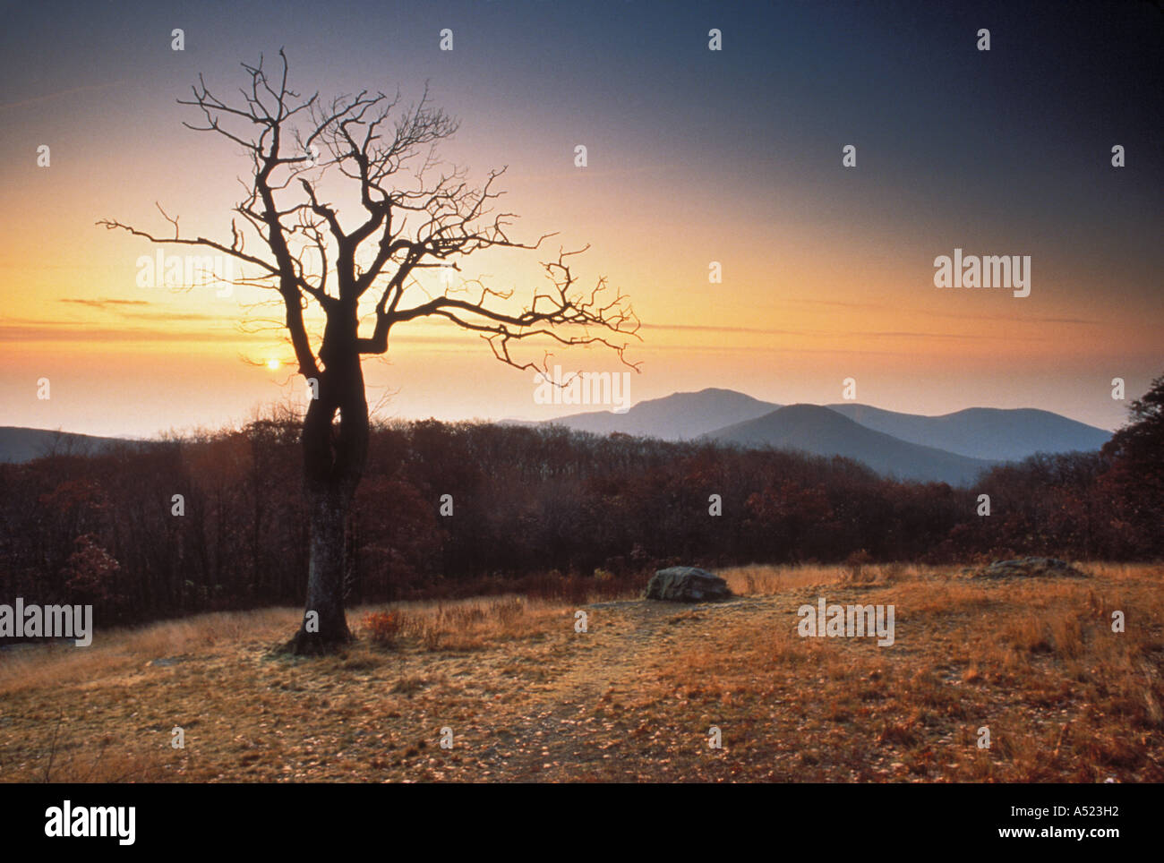 Sonnenaufgang von Skyline Drive mit Blick auf alte Rag Mountain Shenandoah Nationalpark Virginia Stockfoto