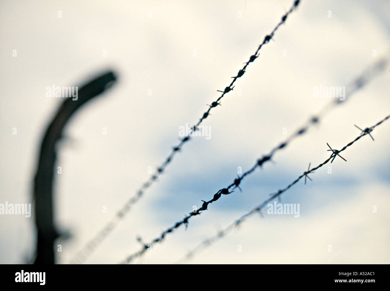 KZ Buchenwald, Weimar, Deutschland Stockfoto