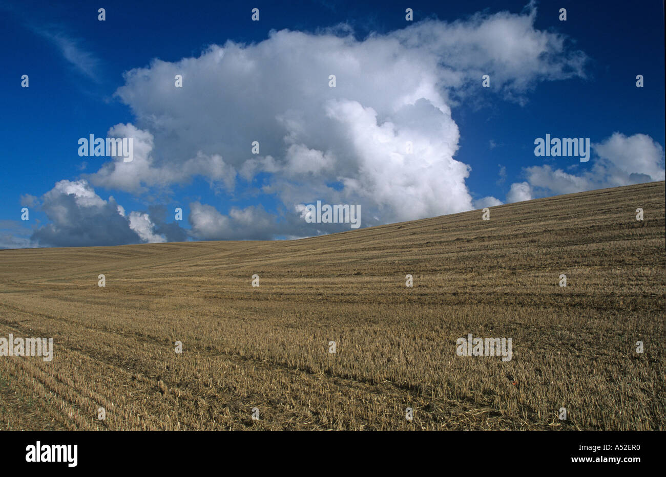 Landwirtschaftliche Praires Kelshall Baldock Hertfordshire UK September Stockfoto