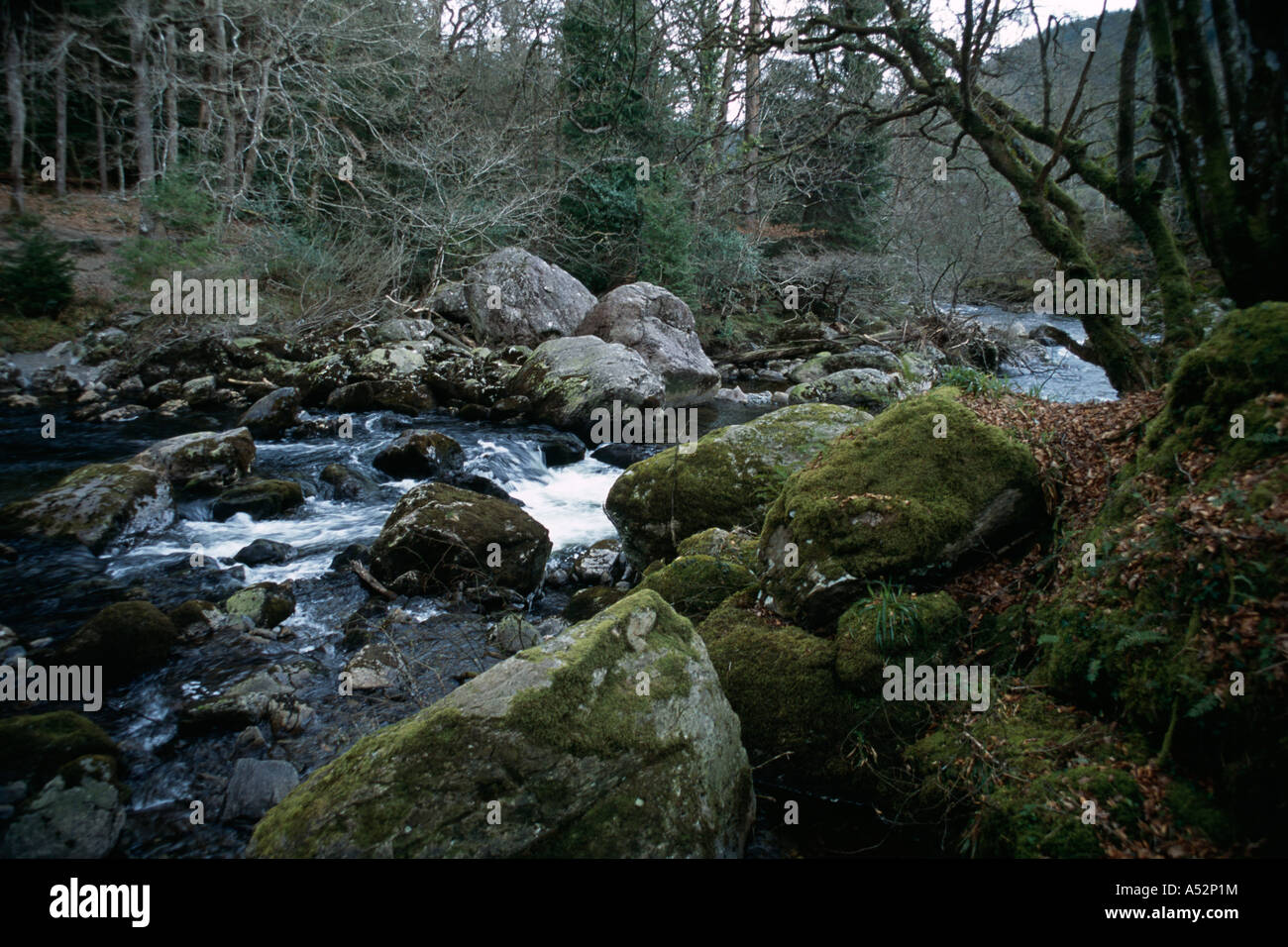 Felsigen Flussbett, Betwys-y-Coed, Nordwales Stockfoto