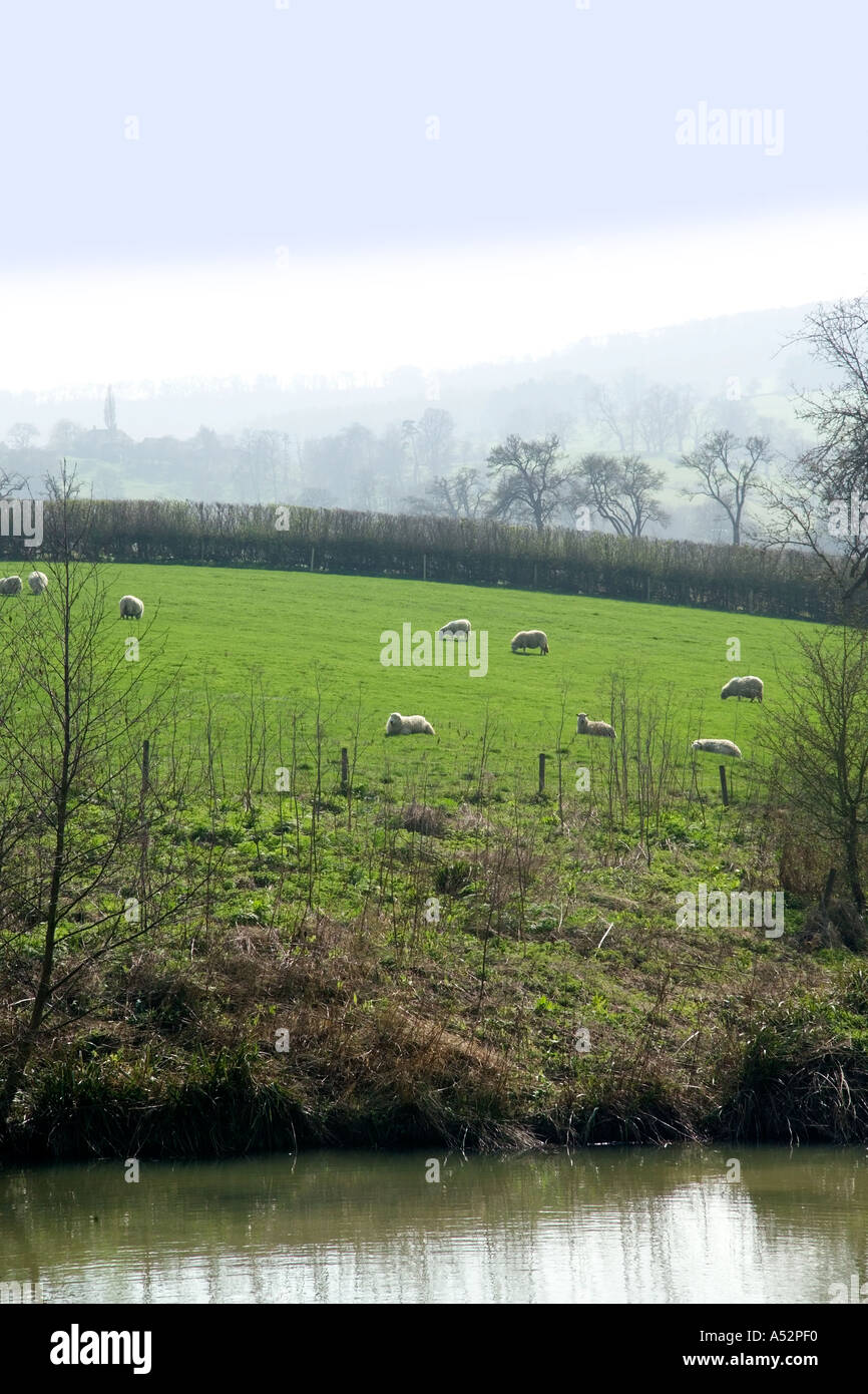 England-Gloucestershire Cotswolds Winchcombe Dorf Garten von Sudeley Castle Stockfoto