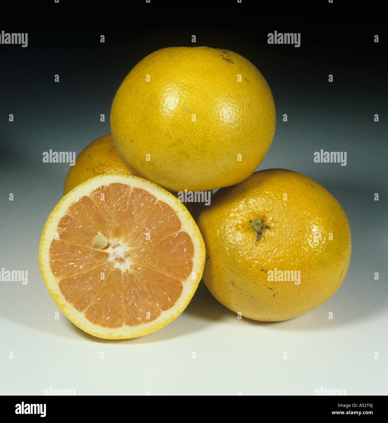 Gesamte geschnitten rosa Grapefruit Obstsorte Marsh Ruby Stockfoto